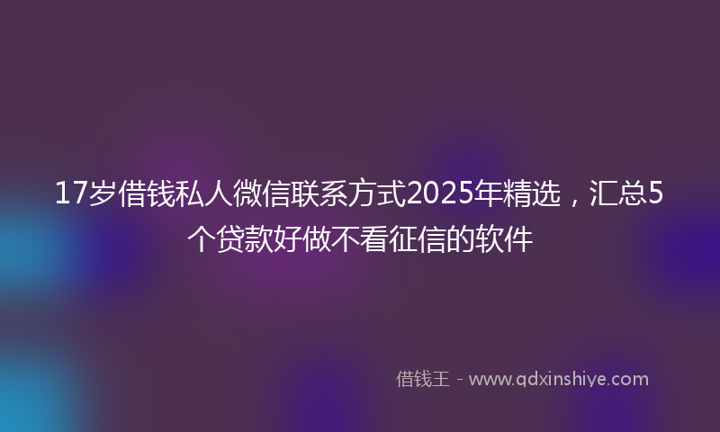 17岁借钱私人微信联系方式2025年精选，汇总5个贷款好做不看征信的软件
