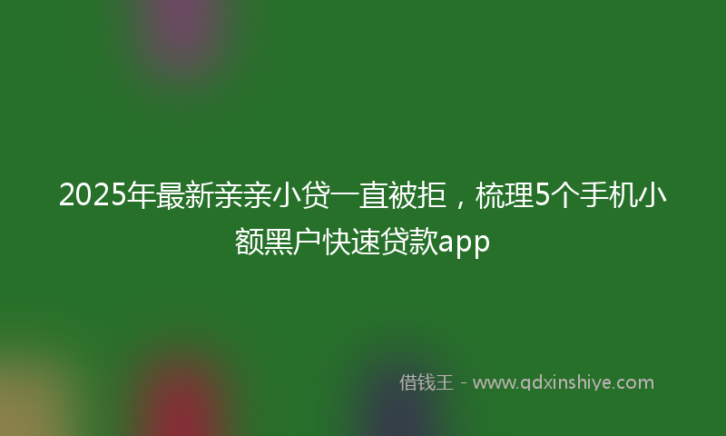 2025年最新亲亲小贷一直被拒，梳理5个手机小额黑户快速贷款app