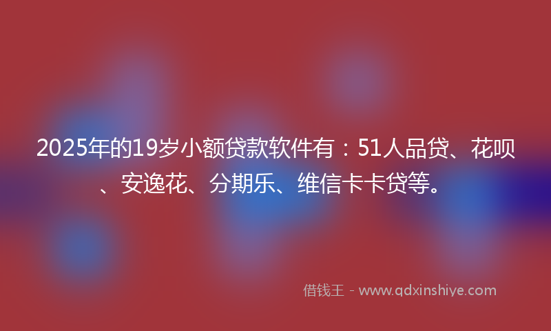2025年的19岁小额贷款软件有：51人品贷、花呗、安逸花、分期乐、维信卡卡贷等。