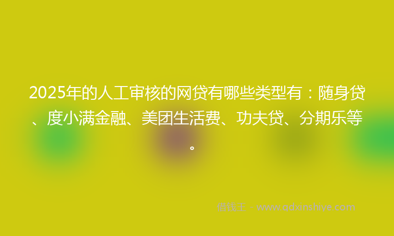 2025年的人工审核的网贷有哪些类型有：随身贷、度小满金融、美团生活费、功夫贷、分期乐等。