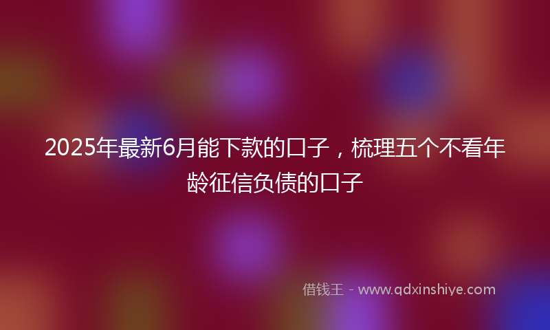 2025年最新6月能下款的口子，梳理五个不看年龄征信负债的口子