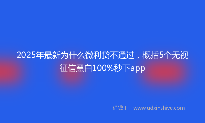 2025年最新为什么微利贷不通过，概括5个无视征信黑白100%秒下app