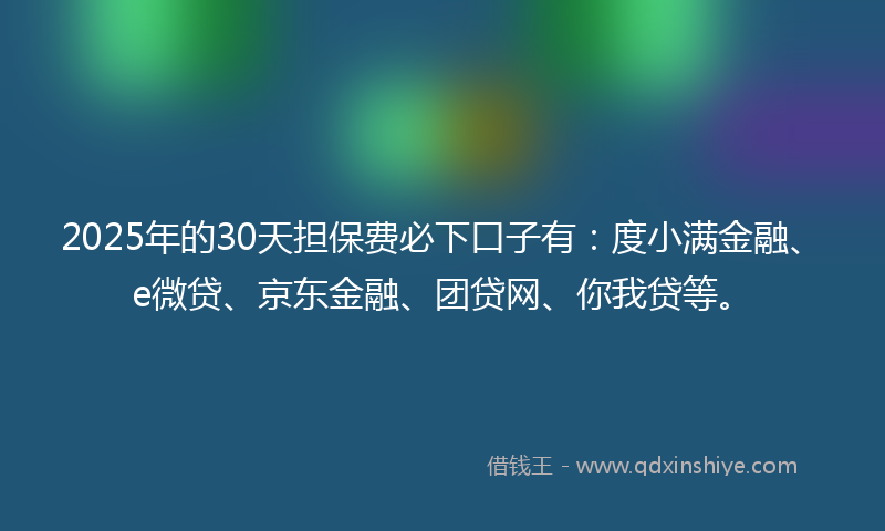 2025年的30天担保费必下口子有：度小满金融、e微贷、京东金融、团贷网、你我贷等。