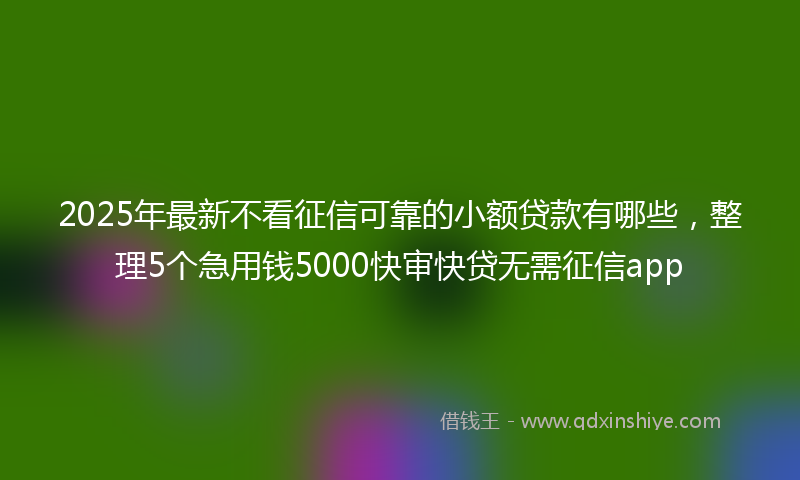 2025年最新不看征信可靠的小额贷款有哪些，整理5个急用钱5000快审快贷无需征信app