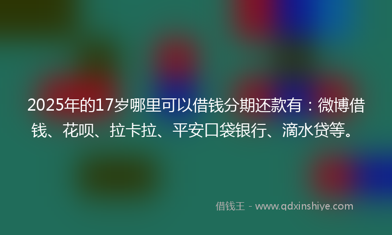 2025年的17岁哪里可以借钱分期还款有：微博借钱、花呗、拉卡拉、平安口袋银行、滴水贷等。