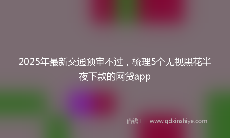 2025年最新交通预审不过，梳理5个无视黑花半夜下款的网贷app