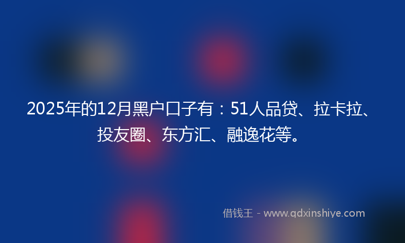 2025年的12月黑户口子有：51人品贷、拉卡拉、投友圈、东方汇、融逸花等。