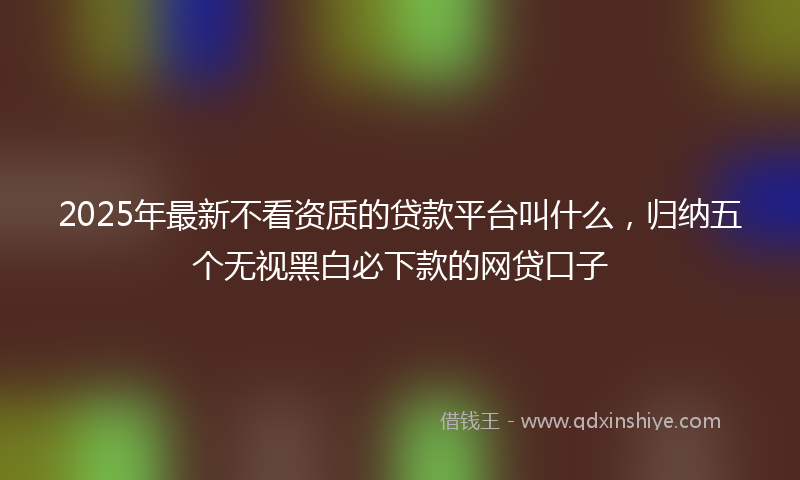 2025年最新不看资质的贷款平台叫什么，归纳五个无视黑白必下款的网贷口子