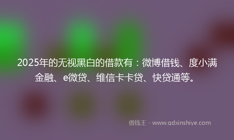2025年的无视黑白的借款有：微博借钱、度小满金融、e微贷、维信卡卡贷、快贷通等。