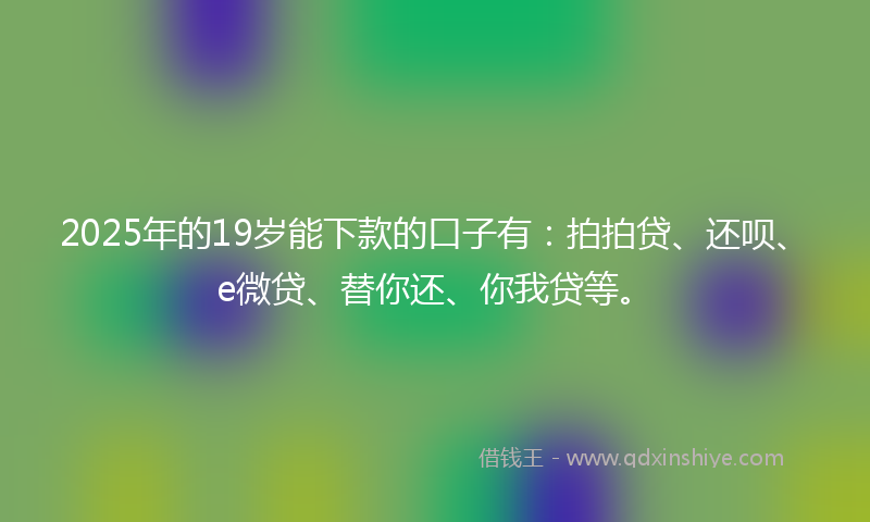 2025年的19岁能下款的口子有：拍拍贷、还呗、e微贷、替你还、你我贷等。