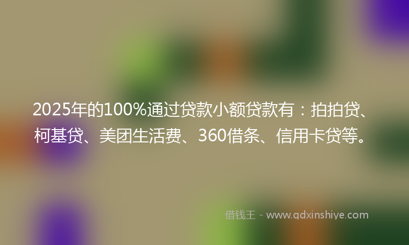 2025年的100%通过贷款小额贷款有：拍拍贷、柯基贷、美团生活费、360借条、信用卡贷等。