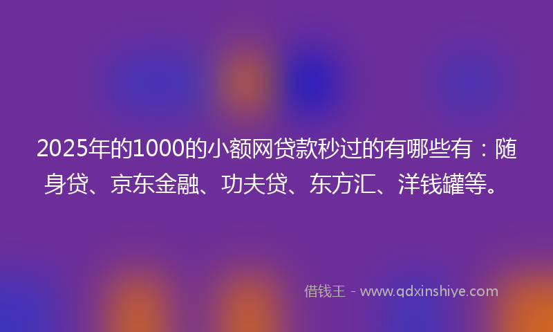 2025年的1000的小额网贷款秒过的有哪些有：随身贷、京东金融、功夫贷、东方汇、洋钱罐等。