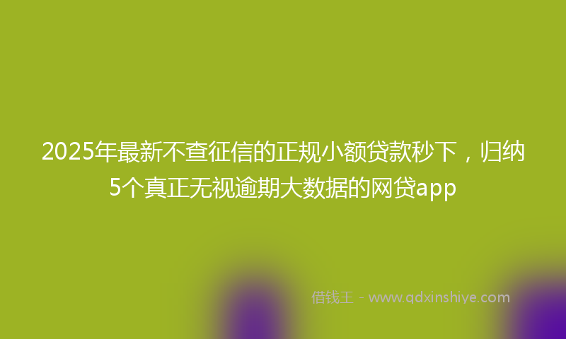 2025年最新不查征信的正规小额贷款秒下，归纳5个真正无视逾期大数据的网贷app