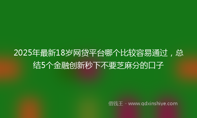 2025年最新18岁网贷平台哪个比较容易通过，总结5个金融创新秒下不要芝麻分的口子