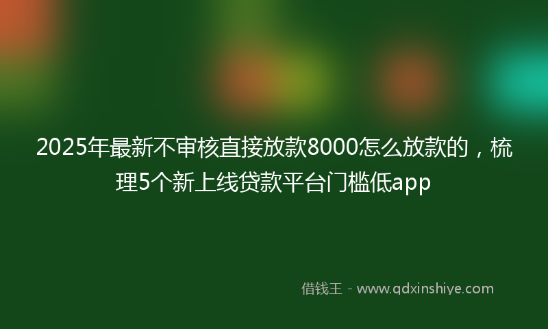2025年最新不审核直接放款8000怎么放款的，梳理5个新上线贷款平台门槛低app