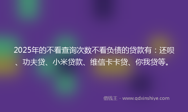 2025年的不看查询次数不看负债的贷款有：还呗、功夫贷、小米贷款、维信卡卡贷、你我贷等。