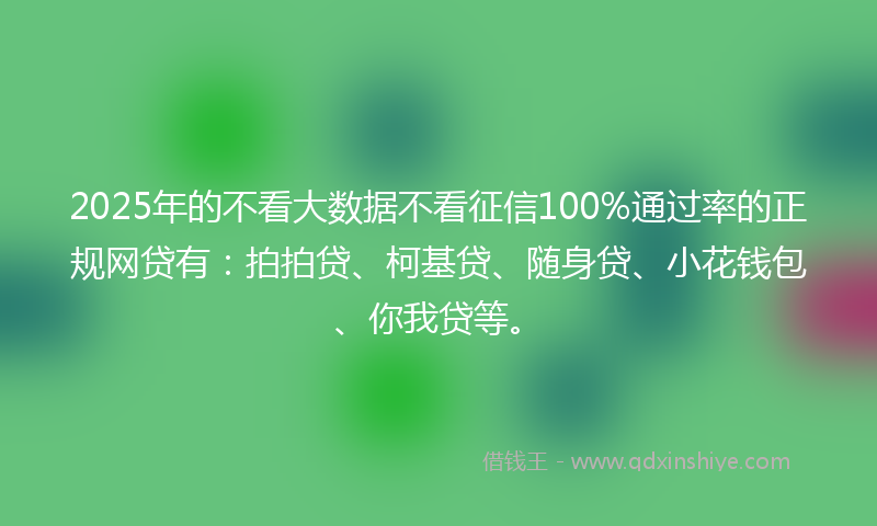 2025年的不看大数据不看征信100%通过率的正规网贷有：拍拍贷、柯基贷、随身贷、小花钱包、你我贷等。