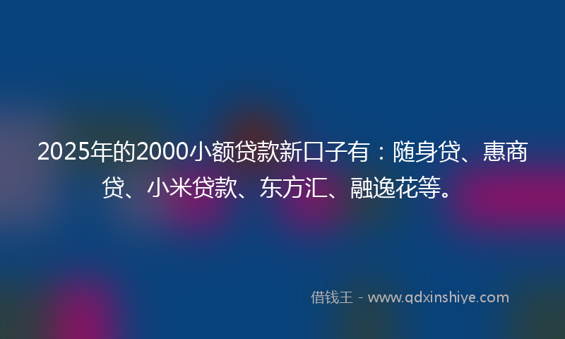 2025年的2000小额贷款新口子有：随身贷、惠商贷、小米贷款、东方汇、融逸花等。