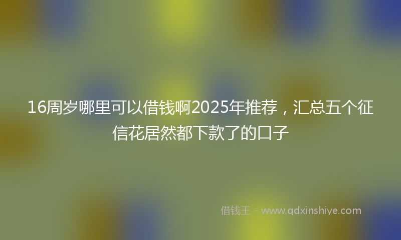 16周岁哪里可以借钱啊2025年推荐，汇总五个征信花居然都下款了的口子