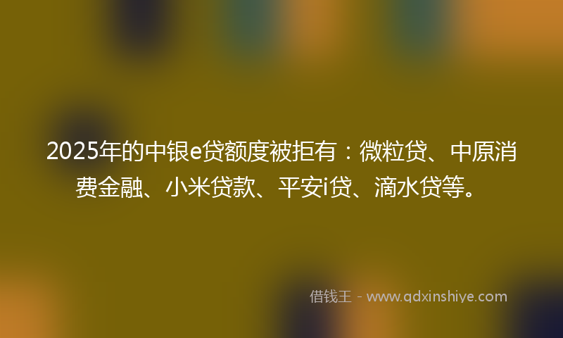 2025年的中银e贷额度被拒有：微粒贷、中原消费金融、小米贷款、平安i贷、滴水贷等。