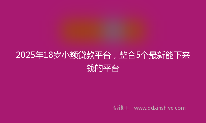 2025年18岁小额贷款平台，整合5个最新能下来钱的平台