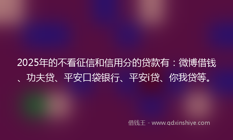 2025年的不看征信和信用分的贷款有：微博借钱、功夫贷、平安口袋银行、平安i贷、你我贷等。