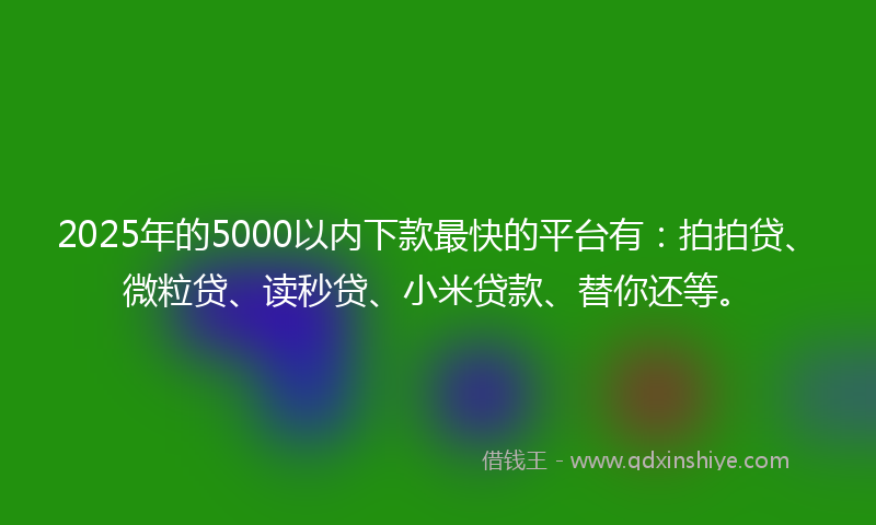 2025年的5000以内下款最快的平台有：拍拍贷、微粒贷、读秒贷、小米贷款、替你还等。