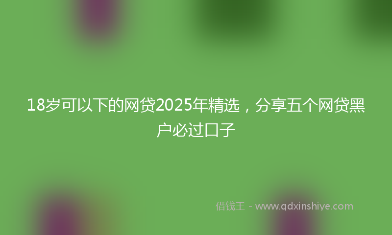 18岁可以下的网贷2025年精选，分享五个网贷黑户必过口子