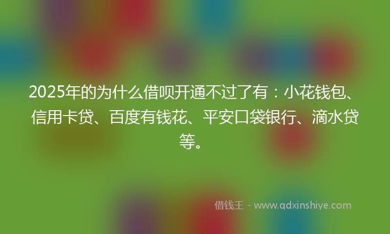 2025年的为什么借呗开通不过了有：小花钱包、信用卡贷、百度有钱花、平安口袋银行、滴水贷等。