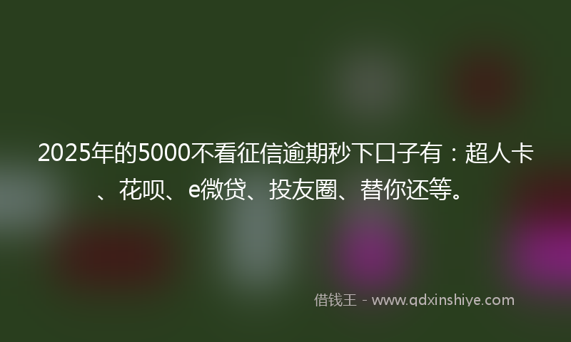 2025年的5000不看征信逾期秒下口子有：超人卡、花呗、e微贷、投友圈、替你还等。