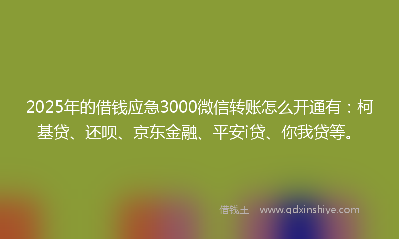 2025年的借钱应急3000微信转账怎么开通有:柯基贷、还呗、京东金融、平安i贷、你我贷等。
