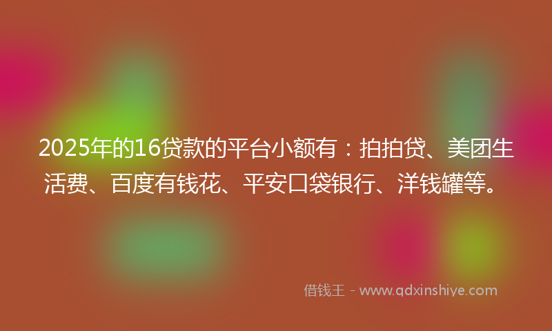 2025年的16贷款的平台小额有：拍拍贷、美团生活费、百度有钱花、平安口袋银行、洋钱罐等。