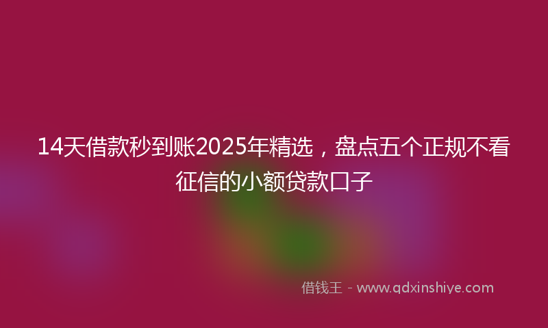 14天借款秒到账2025年精选，盘点五个正规不看征信的小额贷款口子