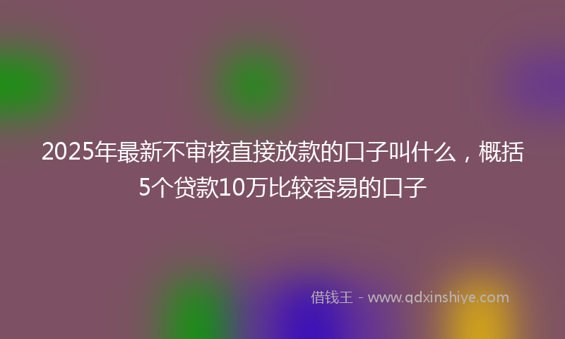 2025年最新不审核直接放款的口子叫什么，概括5个贷款10万比较容易的口子