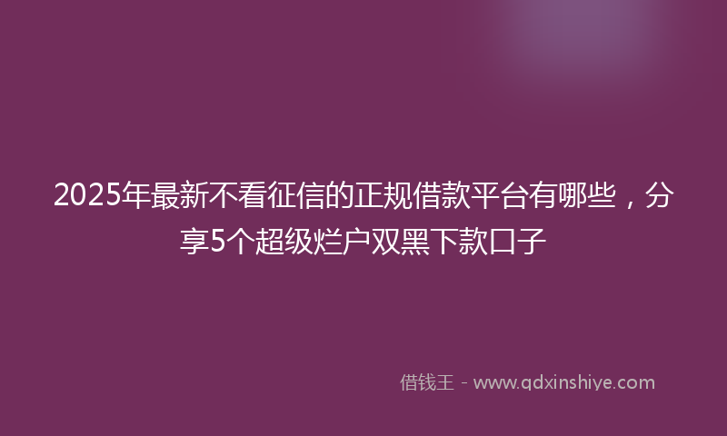2025年最新不看征信的正规借款平台有哪些，分享5个超级烂户双黑下款口子