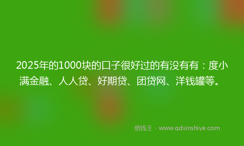 2025年的1000块的口子很好过的有没有有：度小满金融、人人贷、好期贷、团贷网、洋钱罐等。