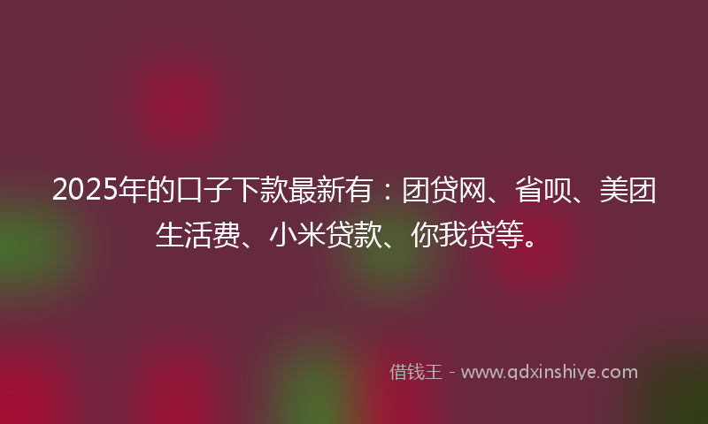 2025年的口子下款最新有：团贷网、省呗、美团生活费、小米贷款、你我贷等。