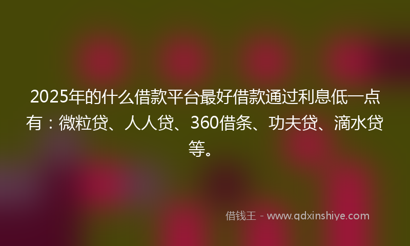 2025年的什么借款平台最好借款通过利息低一点有：微粒贷、人人贷、360借条、功夫贷、滴水贷等。