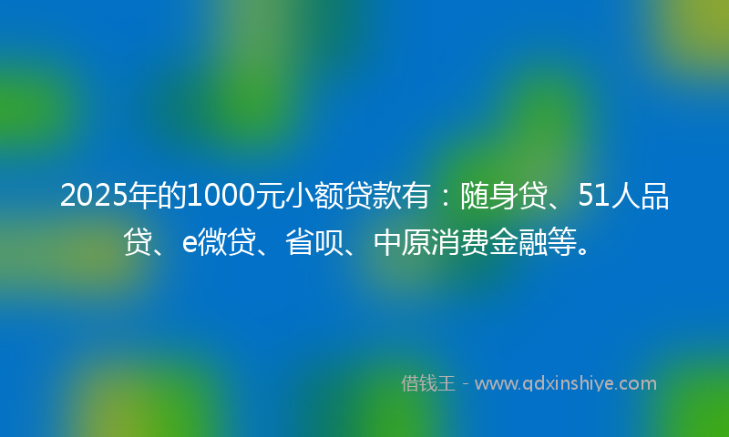 2025年的1000元小额贷款有：随身贷、51人品贷、e微贷、省呗、中原消费金融等。