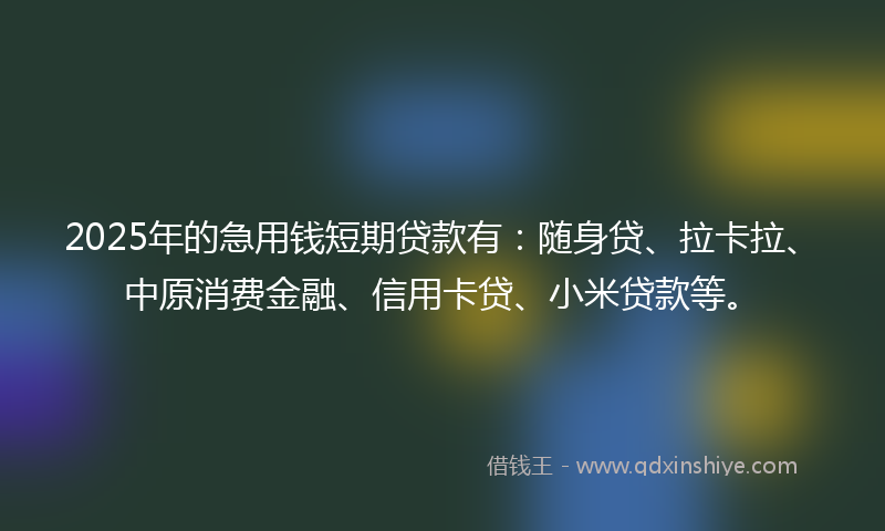 2025年的急用钱短期贷款有：随身贷、拉卡拉、中原消费金融、信用卡贷、小米贷款等。