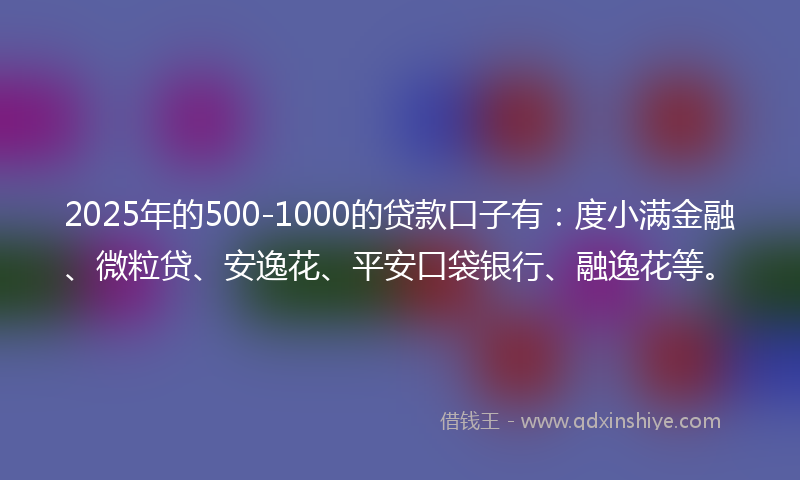 2025年的500-1000的贷款口子有：度小满金融、微粒贷、安逸花、平安口袋银行、融逸花等。