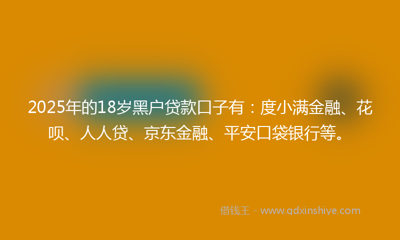 2025年的18岁黑户贷款口子有：度小满金融、花呗、人人贷、京东金融、平安口袋银行等。