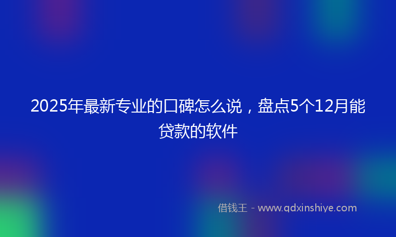 2025年最新专业的口碑怎么说，盘点5个12月能贷款的软件