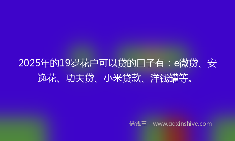 2025年的19岁花户可以贷的口子有：e微贷、安逸花、功夫贷、小米贷款、洋钱罐等。