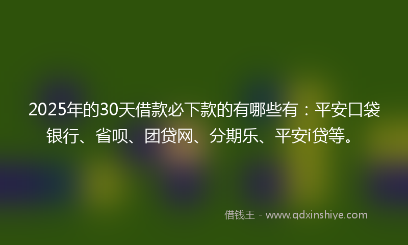 2025年的30天借款必下款的有哪些有：平安口袋银行、省呗、团贷网、分期乐、平安i贷等。