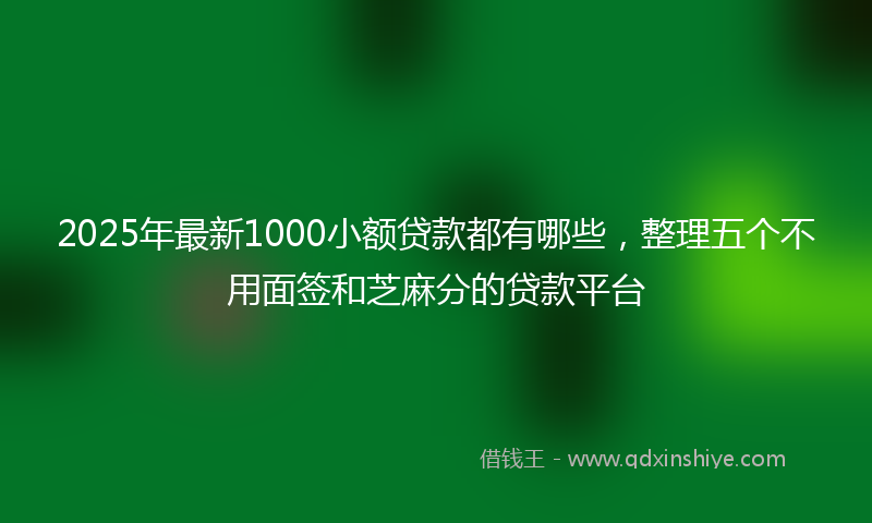 2025年最新1000小额贷款都有哪些，整理五个不用面签和芝麻分的贷款平台