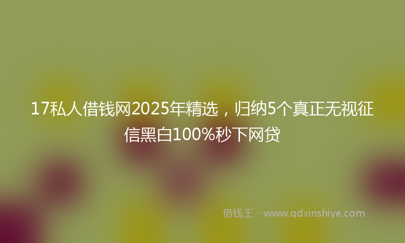 17私人借钱网2025年精选，归纳5个真正无视征信黑白100%秒下网贷