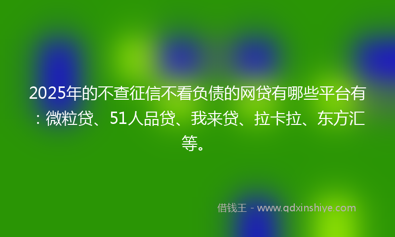 2025年的不查征信不看负债的网贷有哪些平台有：微粒贷、51人品贷、我来贷、拉卡拉、东方汇等。