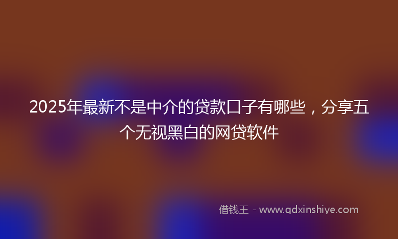 2025年最新不是中介的贷款口子有哪些，分享五个无视黑白的网贷软件