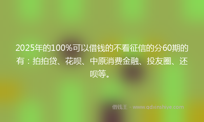 2025年的100%可以借钱的不看征信的分60期的有：拍拍贷、花呗、中原消费金融、投友圈、还呗等。